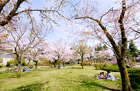 栗原ビル 都立陵南公園