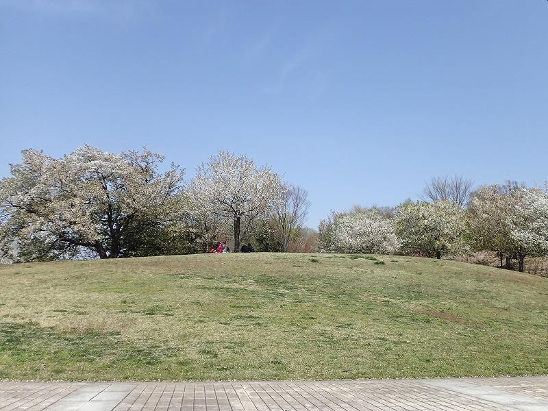 カインドネス京王堀之内 長池公園自然館