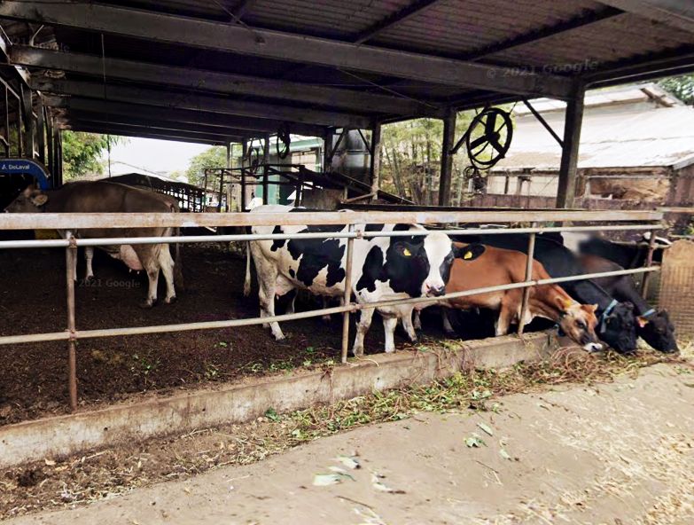 ハイムエスポワール 磯沼牧場　TOKYO FARM VILLAGE