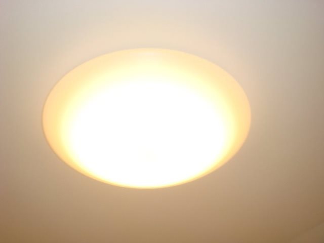 エラン 照明付き