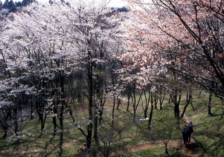 レオパレスHSIRIVER 都立滝山自然公園