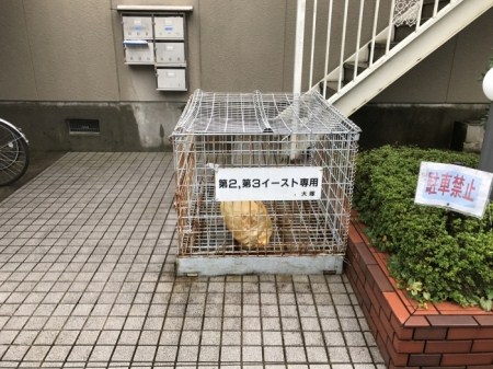 第3イースト ゴミ捨て場です。