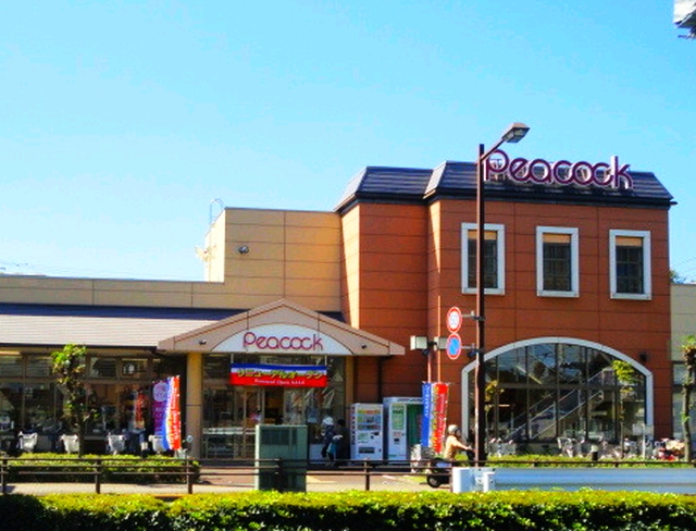 グランボヌールＫＥ ﾋﾟーｺｯｸｽﾄｱ 玉川上水店