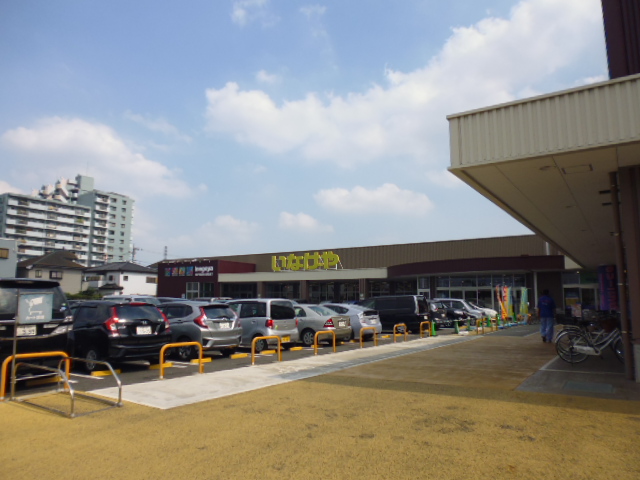 ヴィラサーシャ いなげや 小平小川橋店