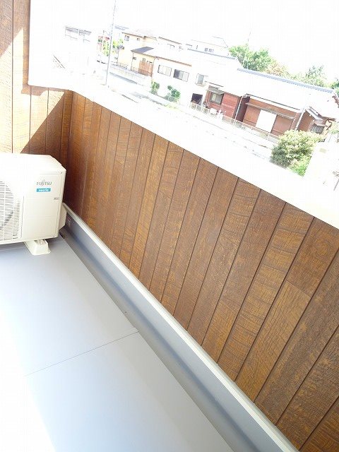 カーネーション 南向きのベランダです。