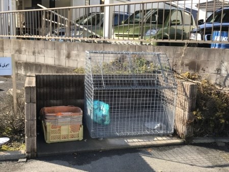 ジュネス ゴミ置き場です。