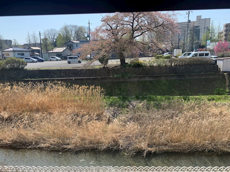 シャンゼール多摩 その他