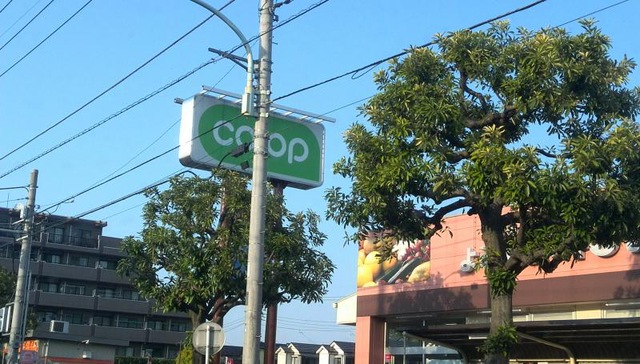 サンドルチェ ｺーﾌﾟみらい ｺーﾌﾟ回田店