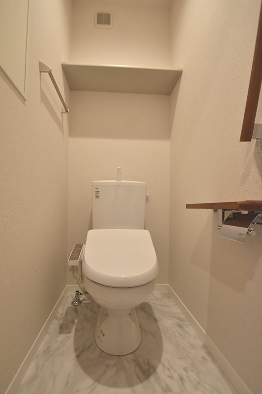 ティサージュ寺町 トイレになります。