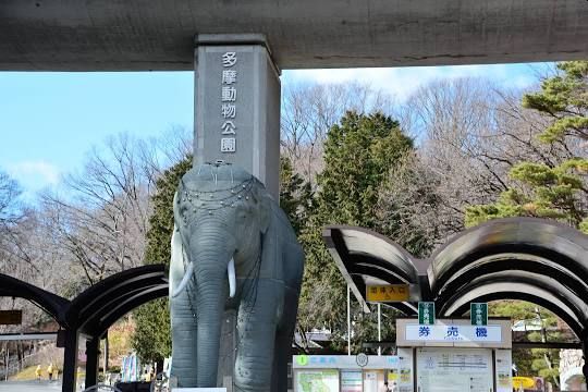 エルムコート 多摩動物公園