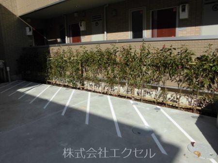 クレイドル  駐輪スペースです。