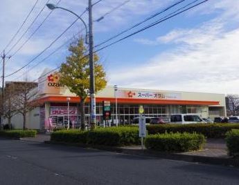 ドームハウス ｽｰﾊﾟｰｵｻﾞﾑ 末広店