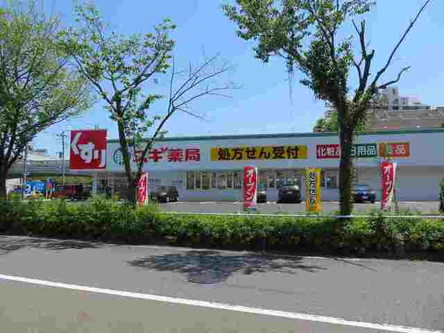 イリーデ スギ薬局まで1100m