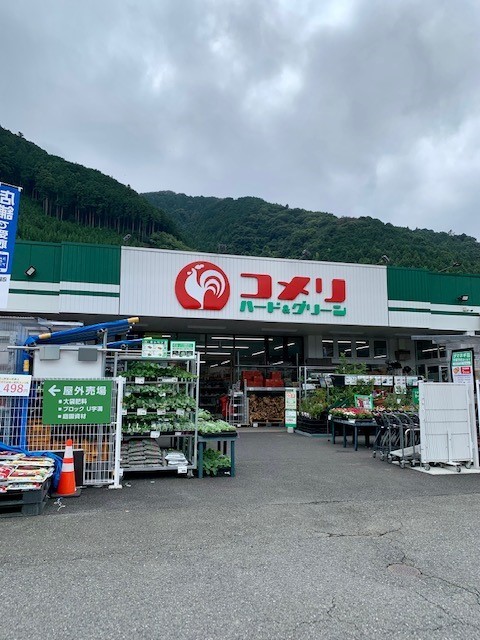 プラシードⅡ コメリ青梅柚木店まで1400m