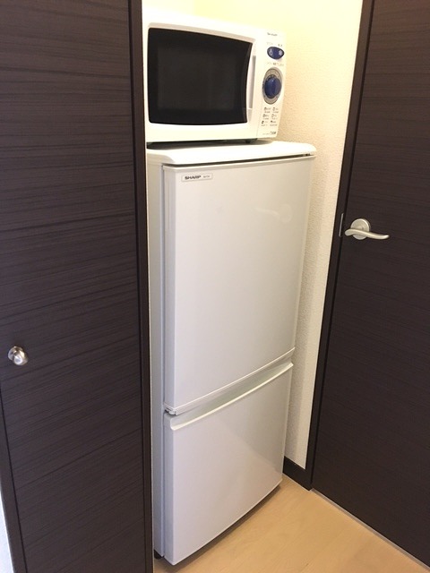レオネクストピスティス 引越しに便利な家電が備わっています