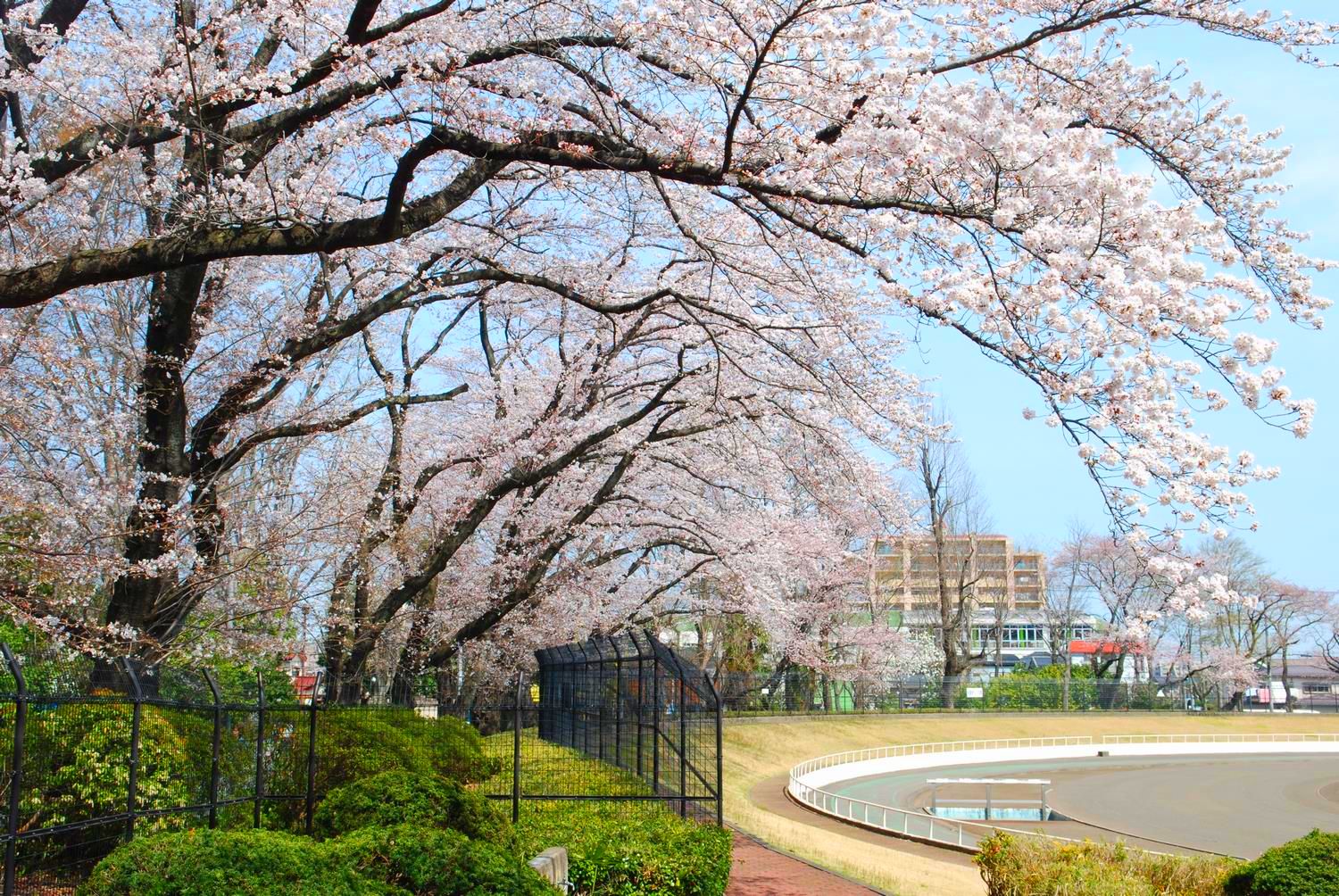 エステートピアモアレ 富士森公園
