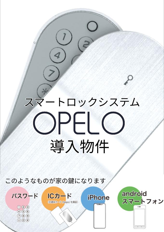 チャムクラージュ キッチン