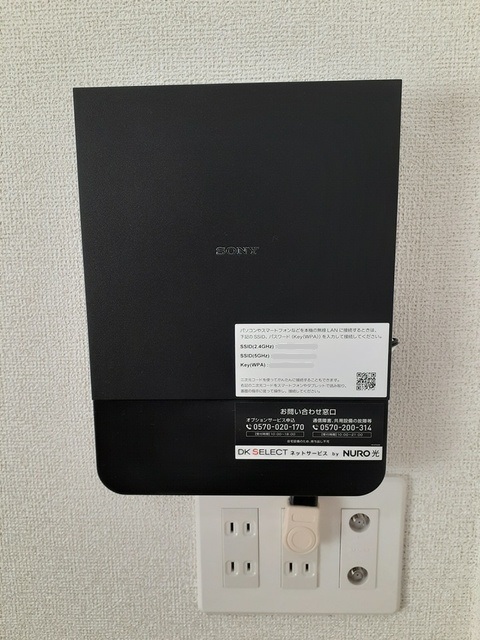 シャン　ラフレシール その他