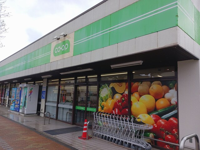 ワン　シーダー　ヒルズ ミニコープ府中南店まで203m