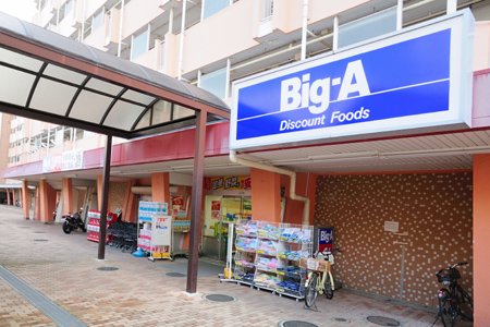 ラフィネS国分寺 ﾋﾞｯｸﾞｴー小平団地店