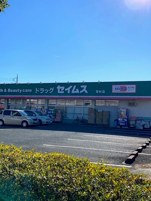 グラン　サンセール セイムス羽村店まで550m