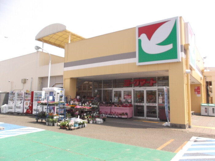アストンパーク ﾖｰｸﾏｰﾄ 田名店