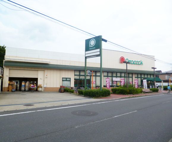 歌音 ﾋﾟーｺｯｸｽﾄｱ 国立弁天通り店