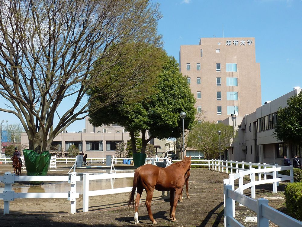 リブリスター南橋本 私立麻布大学